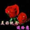 万事大吉的头像