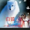 白狐的头像