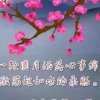 寒冰的头像
