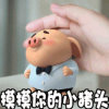 【饶指柔】的头像