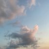 hei→_→會懂♀的头像