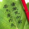 踏雪无缝的头像