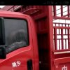 情深意浓的头像