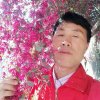 是金子总会发光的头像