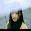 相思雨的头像