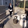 倩的头像