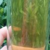 与茶有缘的头像
