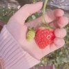 糖果的头像