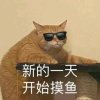 笔芯.的头像
