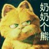夜猫子的头像