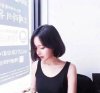 白鸽的头像