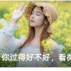 稳稳的幸福的头像