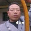 狸猫的头像