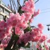 遥望知己的头像