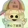有你真好的头像