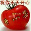 开心果，的头像