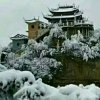 好人一生平安的头像