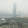 谎不择方的头像