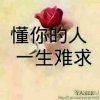 遗忘过去的头像