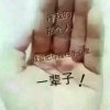 珍惜每一天，（小号）的头像