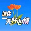 唯一的头像