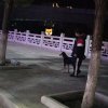 青衫不改旧人还的头像