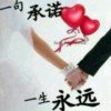 孤独浪子的头像