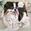 随缘的头像