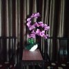 陌上花开的头像