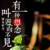 心若移动咋能联通的头像