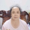 兰的头像