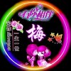梅的头像