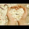 じ☆天使☆じ的头像