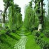 芬芬的头像