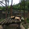 哈哈的头像