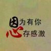 勇哥的头像