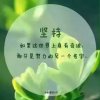 静若繁花的头像
