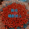 回眸一叹的头像