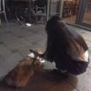 小仙女的头像