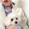 小永远的头像