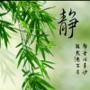 竹子的头像
