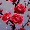 梅花主号的头像