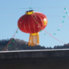 矛与盾的头像