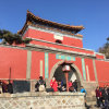 小手的头像