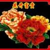 庞高高的头像