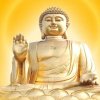 卍菩提悟因卍〈二兰〉的头像