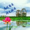 流金岁月(广肇)的头像