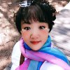 云歌的头像