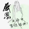 红太阳＊根～哥的头像