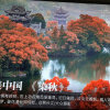 春风化雨的头像